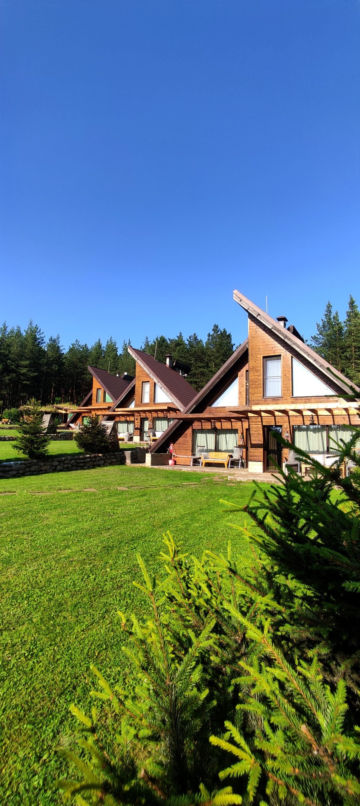 Forest Houses